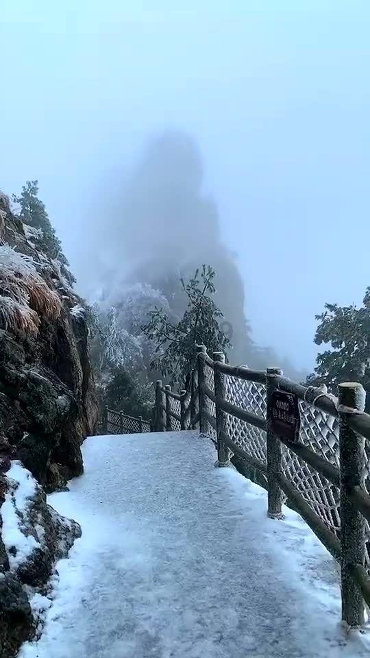 御龙在天
