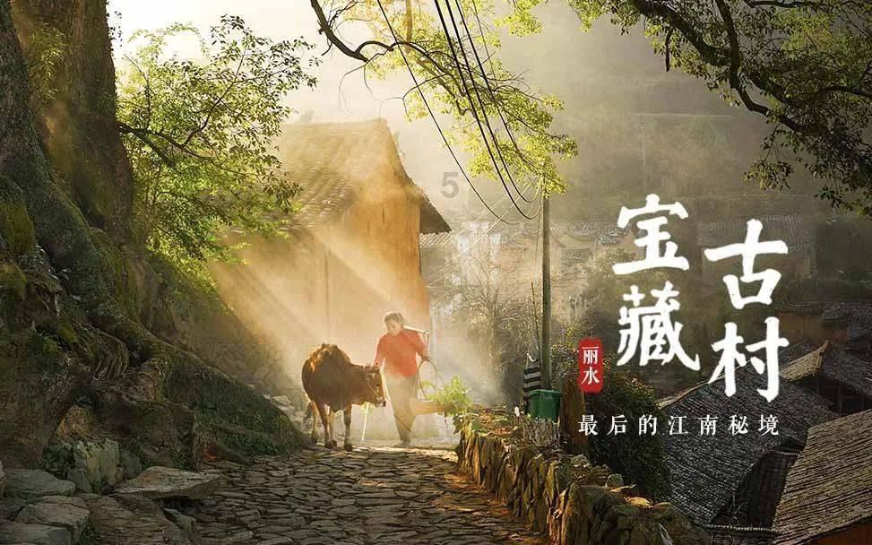 全民烧脑3去广告版