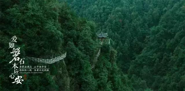 终结者2官方手游